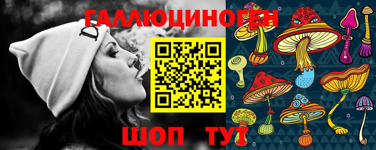 Псилоцибиновые грибы Psilocybe  Вход с VPN  Полевской 