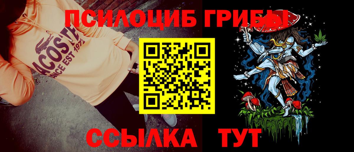 Псилоцибиновые грибы Psilocybine cubensis Полевской